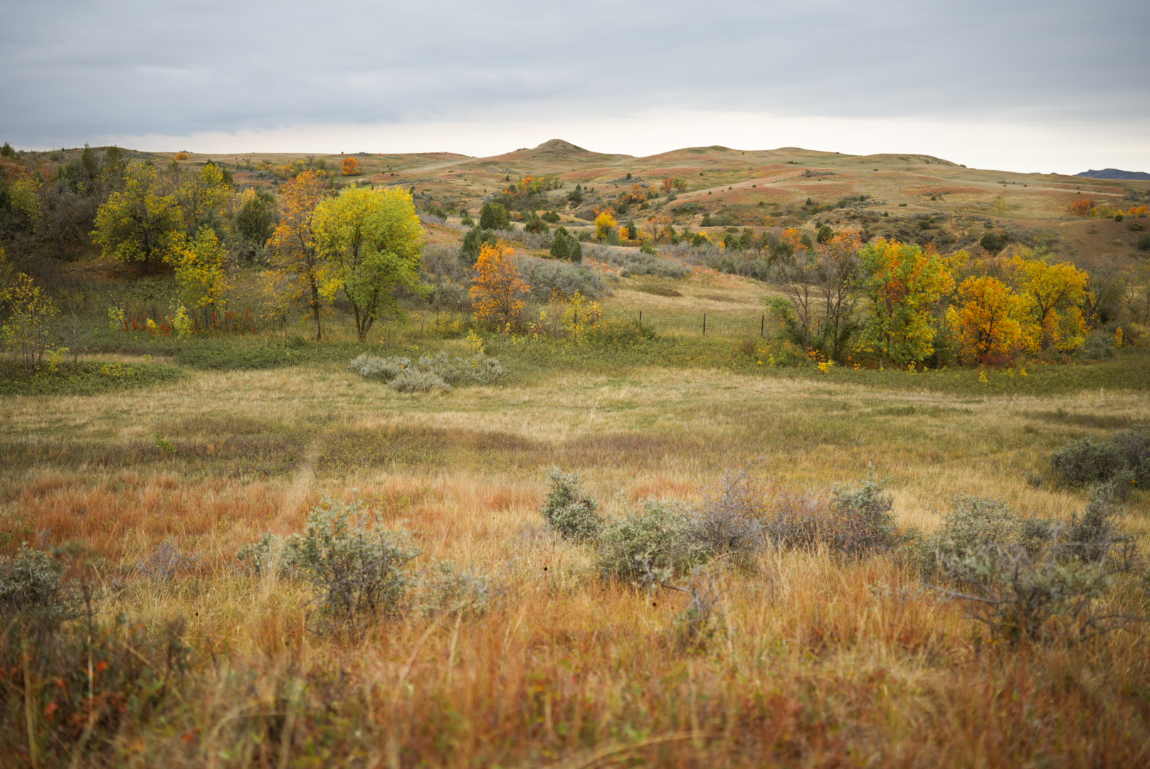 An autumn valley of golden grasses and colorful trees beneath storm clouds